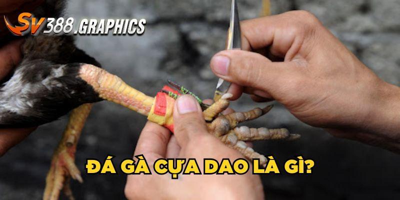 Đá Gà Cựa Dao - Thỏa Mãn Đam Mê Cùng Trận Đấu Kịch Tính Đá gà cựa dao - Khái niệm cơ bản