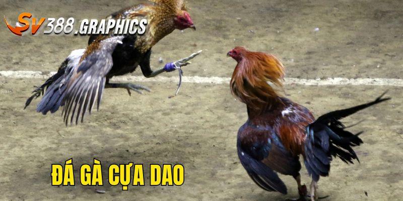 Đá Gà Cựa Dao - Thỏa Mãn Đam Mê Cùng Trận Đấu Kịch Tính Đá Gà Cựa Dao - Thỏa Mãn Đam Mê Cùng Trận Đấu Kịch Tính