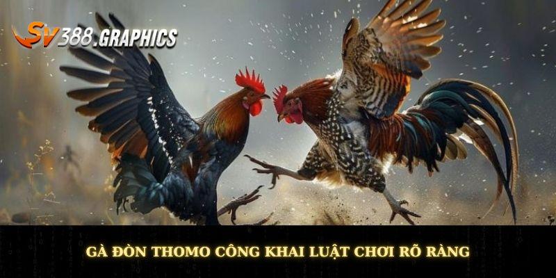 Gà Đòn Thomo - Tận Hưởng Phút Giây Thi Đấu Đầy Mãnh Liệt Gà đòn Thomo công khai luật chơi rõ ràng