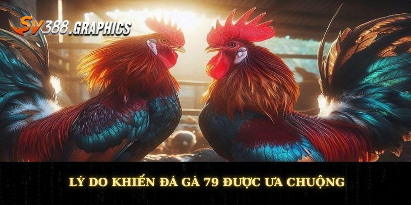 Đá Gà 79 - Cuộc Chiến Táo Bạo Của Các Chiến Binh “Vườn Quê” Lý do khiến đá gà 79 được ưa chuộng