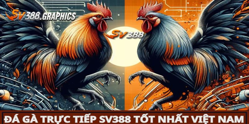 Nhà Cái Đá Gà SV388 Có Bịp Không? Review Chi Tiết Nhất Nhà Cái Đá Gà SV388 Có Bịp Không? Review Chi Tiết Nhất