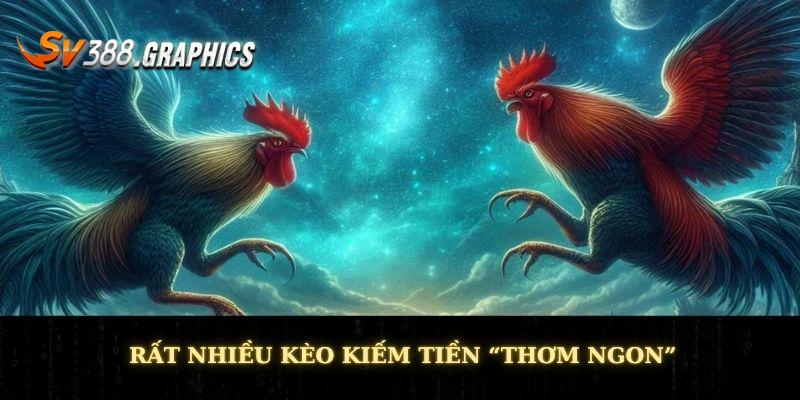 Đá Gà 79 - Cuộc Chiến Táo Bạo Của Các Chiến Binh “Vườn Quê” Rất nhiều kèo kiếm tiền “thơm ngon”