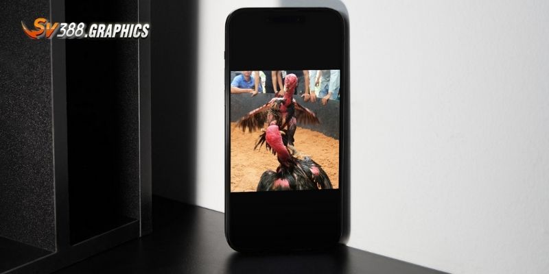 SV388 App Có Gì Khác Bản Web? 3 Lý Do Bạn Nhất Định Phải Thử Ưu điểm của bản ứng dụng di động SV388