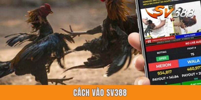 Cách Vào SV388 - Hướng Dẫn Toàn Vẹn Từ A-Z Cho Anh Em Cách Vào SV388 - Hướng Dẫn Toàn Vẹn Từ A-Z Cho Anh Em