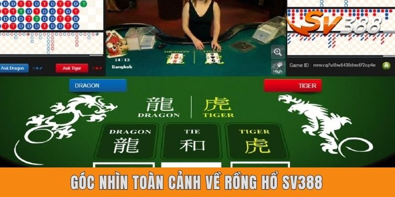 Góc nhìn toàn cảnh về Rồng Hổ Sv388