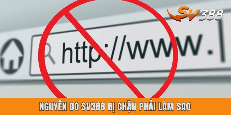 Sv388 Bị Chặn Phải Làm Sao? Nguyên Do & 4 Cách Xử Lý Gọn Lẹ Nguyên do Sv388 bị chặn phải làm sao
