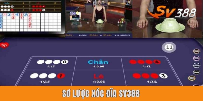 Sơ lược xóc đĩa Sv388