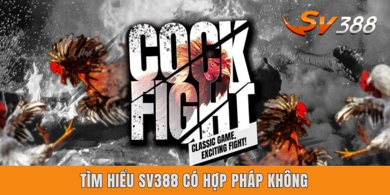 Sv388 Có Hợp Pháp Không? Tổng Hợp 3 Yếu Tố Cốt Lõi Cần Chú Ý Tìm hiểu Sv388 có hợp pháp không